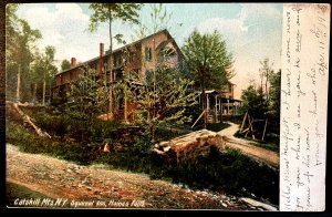 Vintage Postcard 1905 The Squirrel Inn, Haines Falls, Catskills, New York (NY)