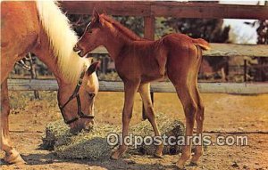 Baby Free Lance Photographers Guild, Inc Unused 