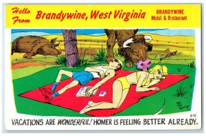 c1940 Hello From Motel Restaurant Vacations Brandywine West Virginia WV Postcard