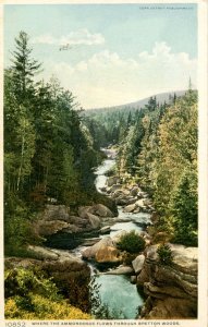 NH - Bretton Woods. Ammonoosuc River