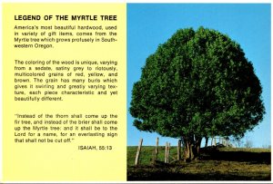 Legend Of The Myrtle Tree