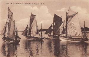 BR52143 La rochelle une sortie de barques ships     France