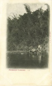 cuba, HAVANA, Paisage Cubano, Cuban Landscape (1900s) Postcard