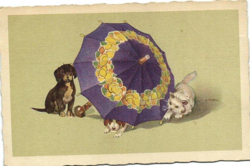 PC CPA CATS, TWO CATS AND A DOG WITH AN UMBRELLA, Vintage Postcard (b27038)