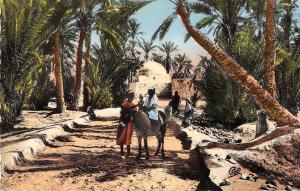 BR47158 Chemin dans la palmergie scenes folklore costumes     Algeria