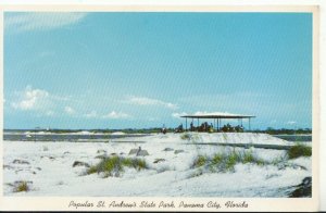 America Postcard - Popular St Andrew's State Park, Panama City, Florida - 21077A
