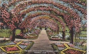 Washington Tacoma Rose Arbor In Point Defiance Park 1924 Curteich