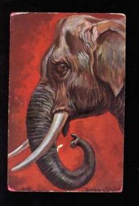 3029677 Head of ELEPHANT. Sign DONADINI. Vintage PC