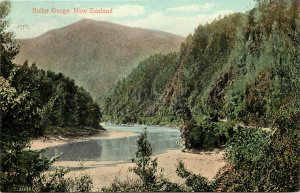 Vintage Postcard Buller Gorge New Zealand South Island