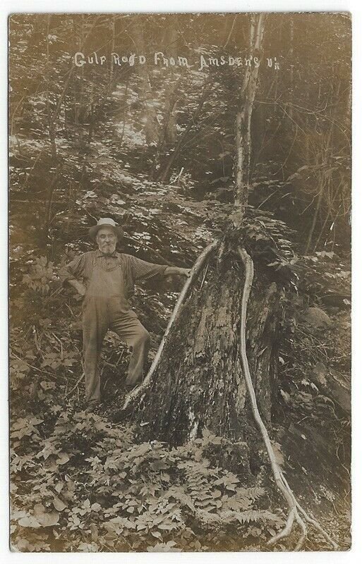 RPPC, View of Gulp Road From Amsden's, Vermont, 1922