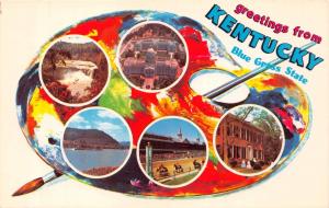 GREETINGS FROM KENTUCKY~BLUE GRASS STATE~PAINTER'S PALETTE POSTCARD c1960s