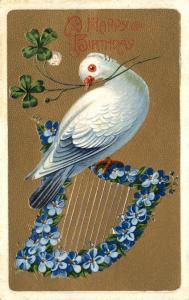 BIRTHDAY Dove w Flower Harp c1910 Postcard