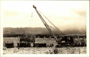 Sugar Cane Farming Crane Machinery Hawaii HI Real Photo Postcard