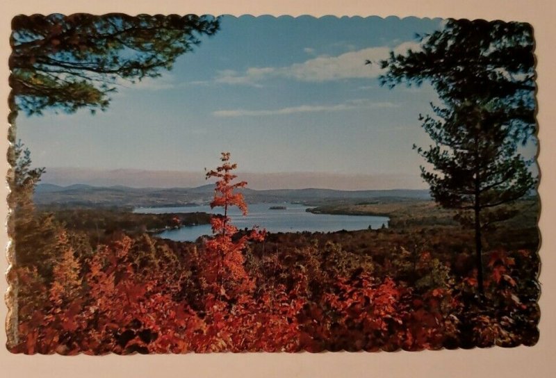 Vintage Postcard Paulus Bay Lake Winnipesaukee New Hampshire 1978   685