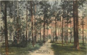 Hand-Colored Postcard Road through Pine Grove, Pinehurst NC Moore County