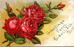 Illinois Greetings From Sidell With Roses 1910