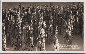 Czech Republic Krkonose Riesengebirge Winter Poland Vintage RPPC C142