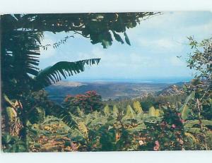 Pre-1980 PANORAMIC VIEW El Yunque Forest - Near San Juan Puerto Rico PR H9798