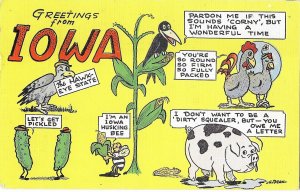 Greetings from Iowa The Hawk-Eye State Comic Mailed 1961