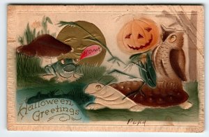 Halloween Postcard Moon Cricket Body Goblin Head Owl Mushroom Turtle Fantasy