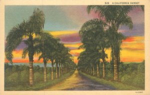 California Sunset, Rows of Palm Trees Linen Postcard Unused
