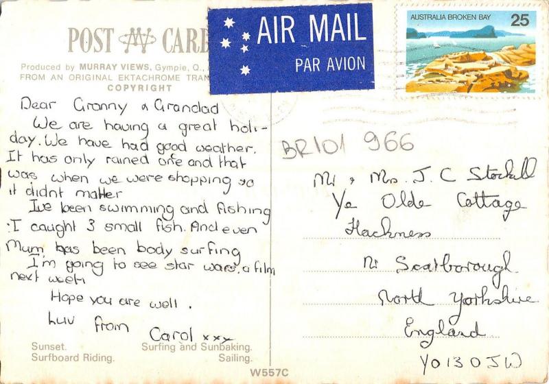 BR101966 forster nsw sunset surfboard  australia