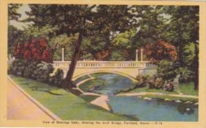 Maine Portland View Of Deerings Oaks Showing The Arch Bridge Dexter Press