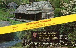 Vintage Postcard Top Jungle Brook Gatlinburg Tennessee Great Smoky Mts. Nat Park