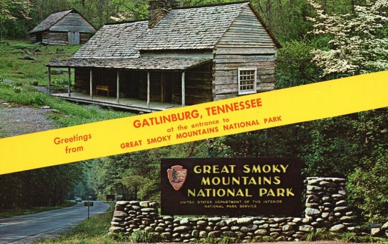 Vintage Postcard Top Jungle Brook Gatlinburg Tennessee Great Smoky Mts. Nat Park