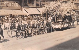 Horse Drawn Parade Float Parade Unused 