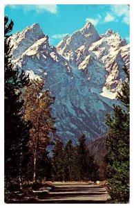 Postcard ROAD SCENE Jackson Hole Wyoming WY AP8001