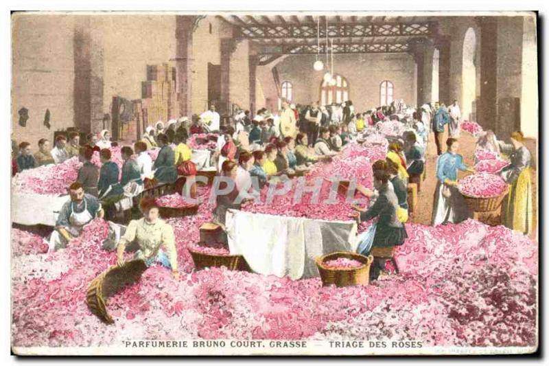 Old Postcard Collecting Sorting roses Grasse Parfumerie Bruno Court