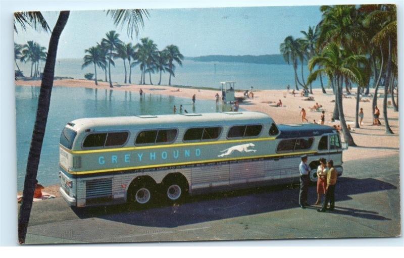 *Vintage Greyhound Advertising Postcard Super Scenicruiser 43 Passenger Bus B71