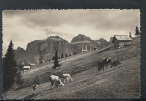 Italy Postcard - Dolomiti Di Fassa - Pascoli - Piz Boe m.3152 -      T7650