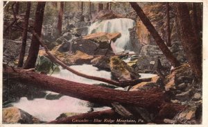 Vintage Postcard 1916 Cascades Blue Ridge Mountains Pennsylvania PA H. H. Myers