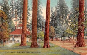 Shasta Springs California Club House Street View Antique Postcard K79349