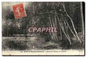 Old Postcard Foret Meudon Bellevue edges of the Etang de Villebon