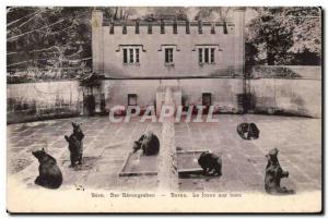 Switzerland - Bern - Baerengraben The Bear Pit - Old Postcard