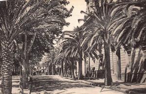 AJACCIO : avenue du 1er consul - tres bon etat