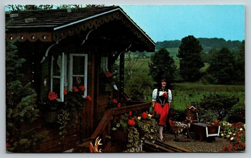 Guggisberg Cheese Doughty Valley  Berlin  Ohio  Postcard