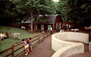 Watertown New York Thompson Park Zoo Barnyard c1950-60s Vintage Postcard