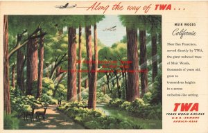 Advertising Linen Postcard, Trans World Airline, TWA, Muir Woods California