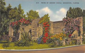 Ruins of Braden Castle Bradenton FL