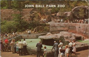 c1950s-1960s John Ball Park Zoo seals Grand Rapids Michigan postcard A186 