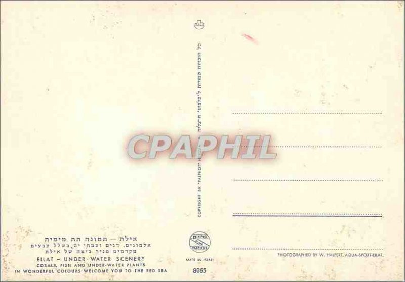 Postcard Modern Eilat Red Sea Under-water Scenery