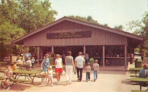 Hilltop Concession, New Salem State Park, Illinois c1960s Vintage Postcard