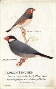 CAPERN'S BIRD SEED AD ADVERTISING Zebra Finch Java Sparrow Antique Postcard