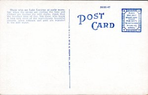 Postcard FL Orlando - Lake Lucerne