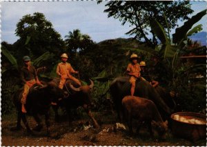 CPM AK The farmer's children enjoy riding waterbuffalos INDONESIA (1282115)