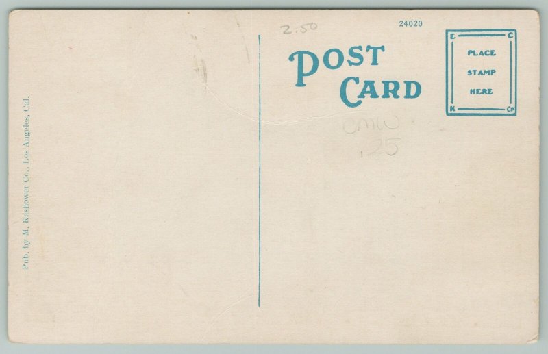 La Jolla Beach California~1920s Postcard